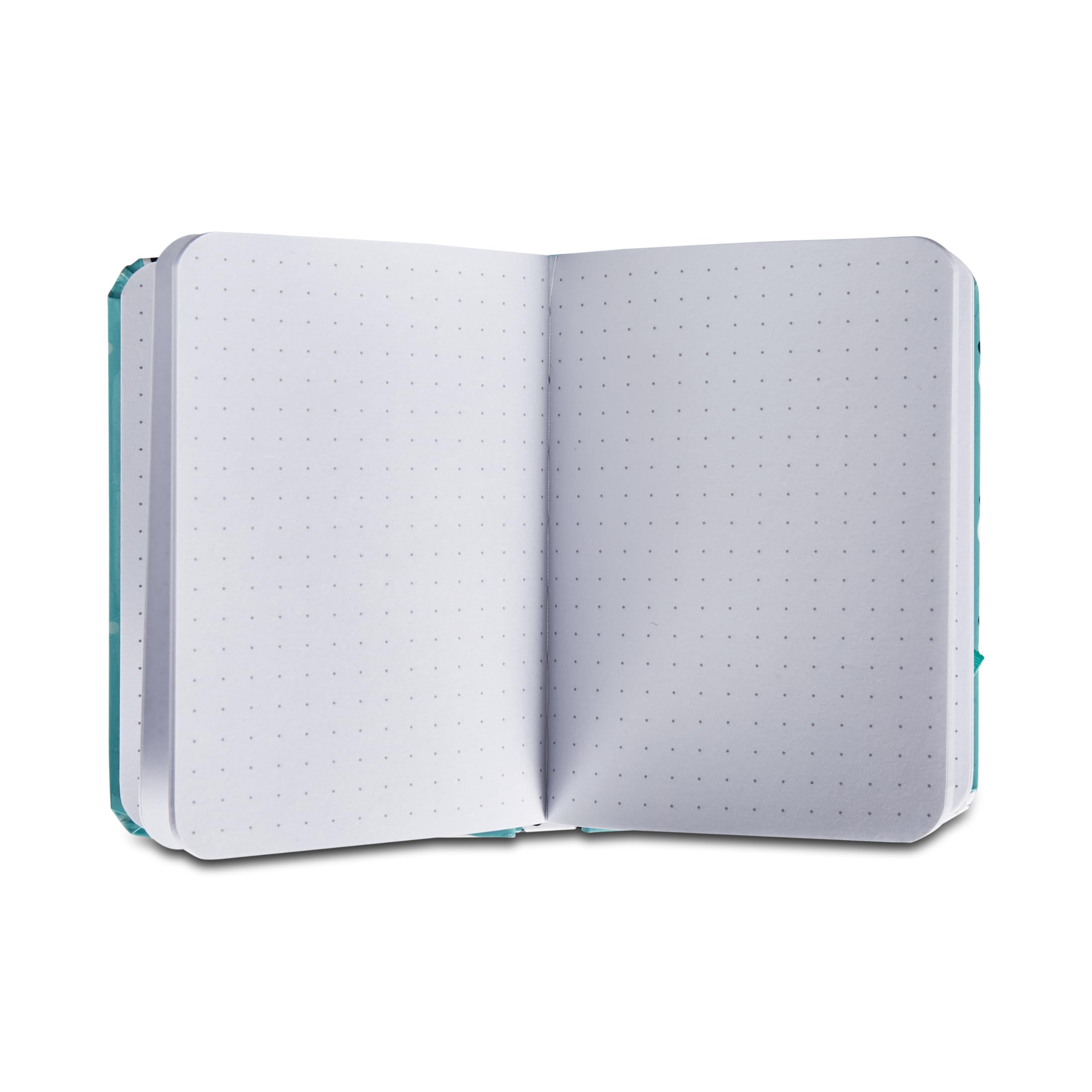 mitama-taccuino-grafica-panda-azzurro-taccuino-notes-copertina-rigida-8-x-11-cm image 4